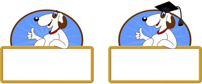 爱游戏下载-校园体育节活动对学生参与度的促进作用，学校体育节活动描述