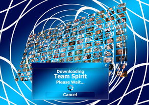 ayx爱游戏官网-球迷盛典：现场氛围与体育精神的融合，球迷知识